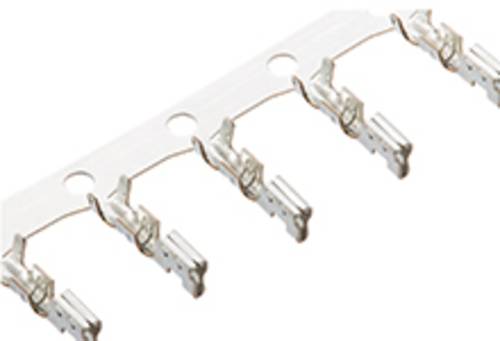 2.5 mm WTW/WTB 508029001 Molex Inhalt: 1 St.