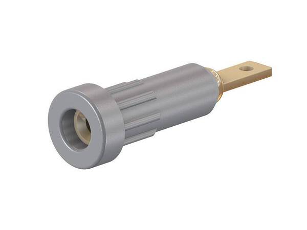 Stäubli EB2 Laborbuchse Buchse, Einbau vertikal Stift-Ø: 2 mm Grau 1 St.