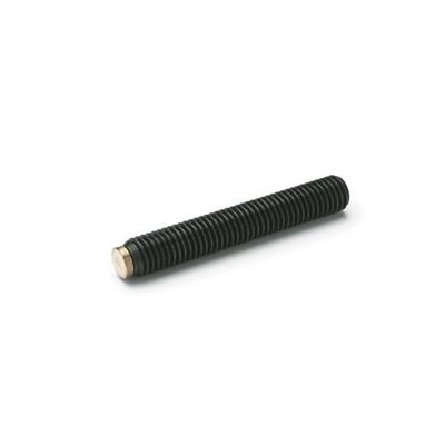 Ganter Norm® - 913.3-M12-20-MS Gewindestifte mit Messing- / Kunststoff-Zapfen, Stahl