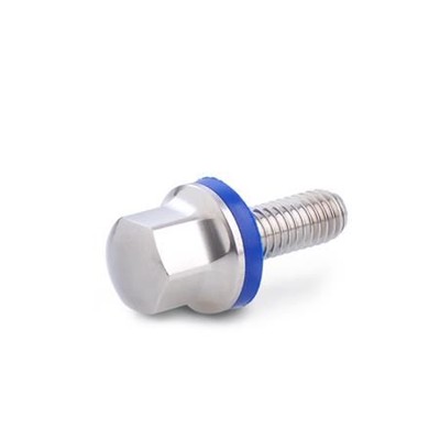 Ganter Norm® - 1580-M4-8-MT-E Edelstahl-Schrauben, Hygienic Design