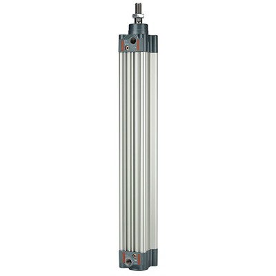 RIEGLER® - Normzylinder ISO 15552, doppeltwirkend, Magnet, Kolben-Ø 100, Hub 250, G 1/2"