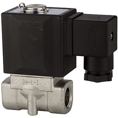 RIEGLER® - <p>2/2-Wege-MV., ES, NC, direktg., 24 V DC, G 1/8, PN 0-10 bar</p>